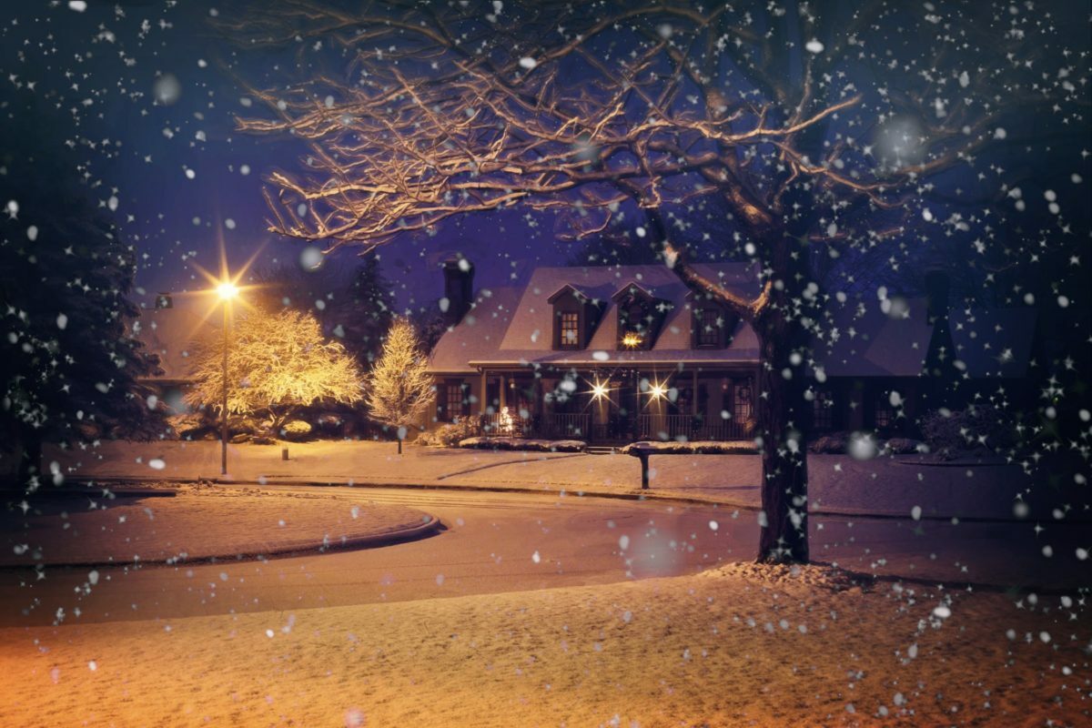 vlaggenmastkerstverlichting header 1